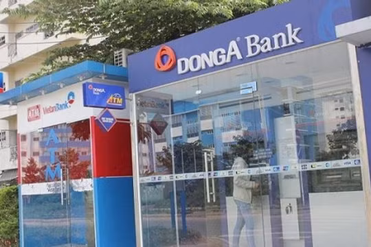 Ảnh minh họa (Nguồn: Internet)