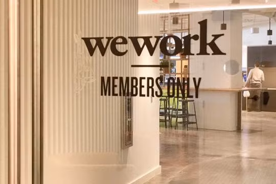 Ảnh minh họa (Nguồn: Internet)