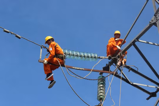 Ảnh minh họa (Nguồn: Internet)