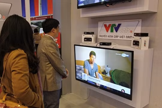 Ảnh minh họa (Nguồn: Internet)