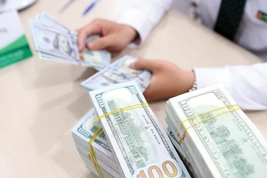 Ảnh minh họa (Nguồn: Internet)