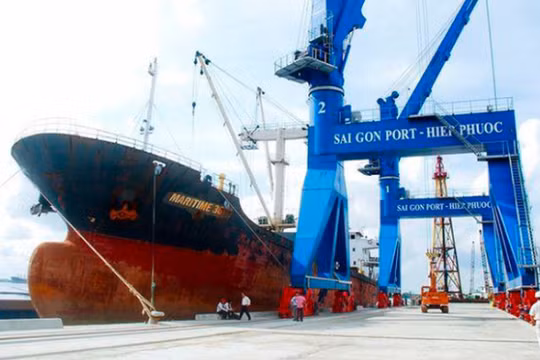 Ảnh minh họa (Nguồn: Internet)