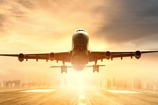 Ảnh minh họa (Nguồn: Internet)