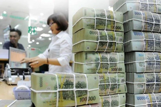 Ảnh minh họa (Nguồn: Internet)