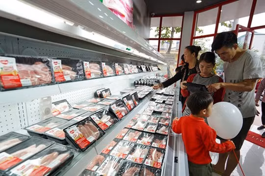 Ảnh minh họa (Nguồn: Internet)