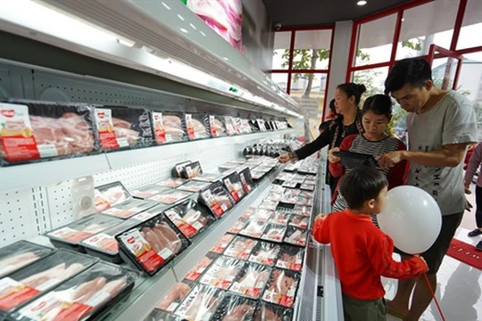 Ảnh minh họa (Nguồn: Internet)