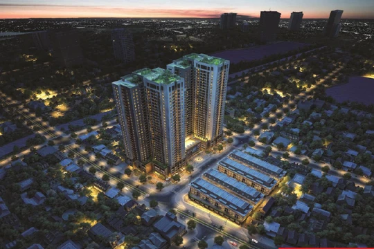 Ảnh minh họa (Nguồn: Internet)