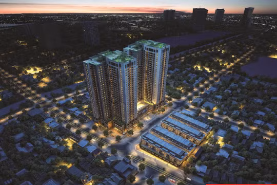 Ảnh minh họa (Nguồn: Internet)