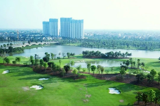 Ảnh minh họa (Nguồn: Internet)