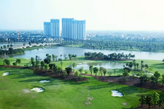 Ảnh minh họa (Nguồn: Internet)