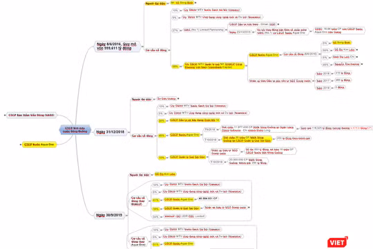 Đỗ Thị Kim Liên Shark Liên