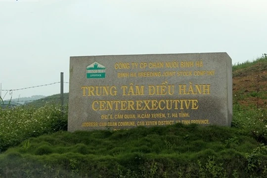 Dự án chăn nuôi bò 2.000ha của Công ty Bình Hà tại Hà Tĩnh (Ảnh: Báo Hà Tĩnh)