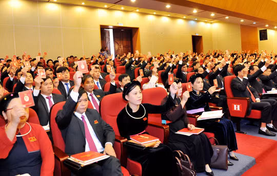 Ảnh minh họa (Nguồn: Internet)