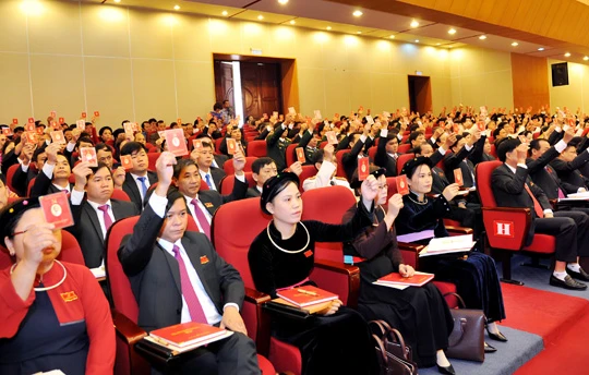 Ảnh minh họa (Nguồn: Internet)