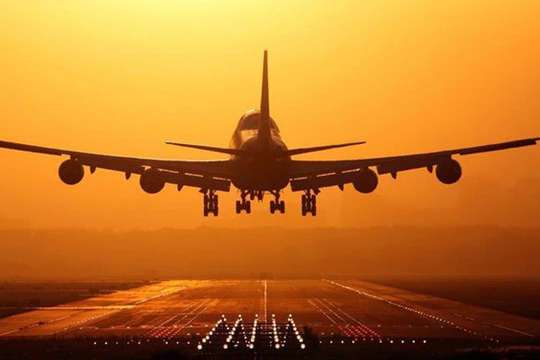 Ảnh minh họa (Nguồn: Internet)