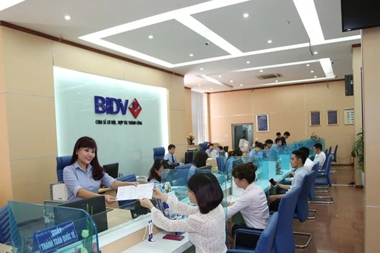 Ảnh minh họa (Nguồn: Internet)