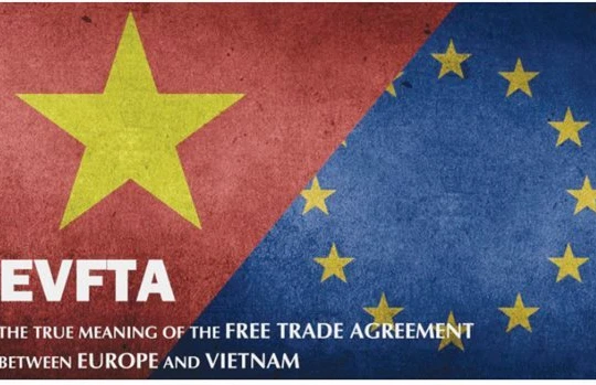 Ảnh minh họa (Nguồn: Internet)