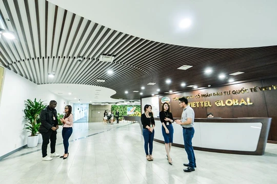 Ảnh minh họa (Nguồn: Internet)