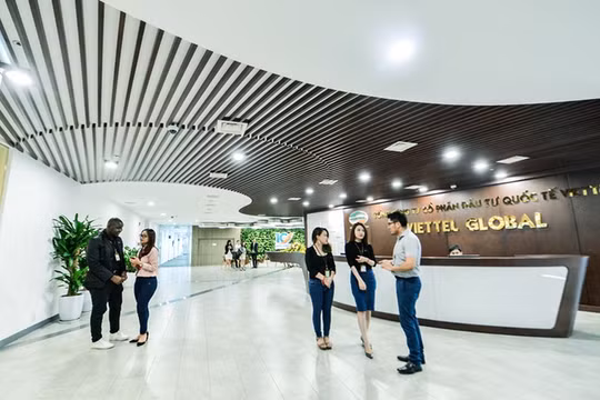 Ảnh minh họa (Nguồn: Internet)