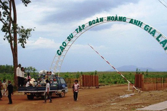 Ảnh minh họa (Nguồn: Internet) 