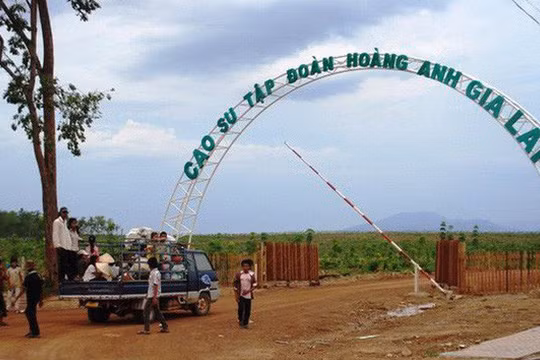 Ảnh minh họa (Nguồn: Internet) 