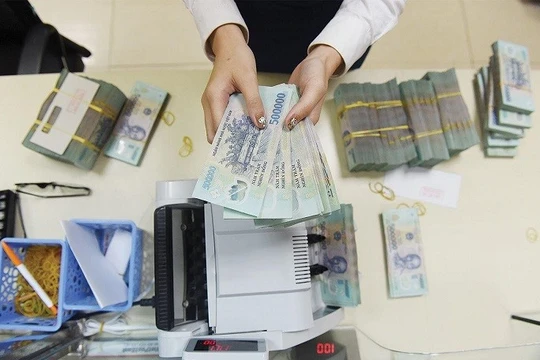 Ảnh minh họa (Nguồn: Internet)