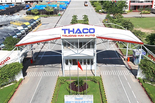 Ảnh minh họa (Nguồn: Internet)