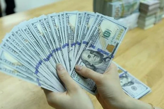 Ảnh minh họa (Nguồn: Internet)