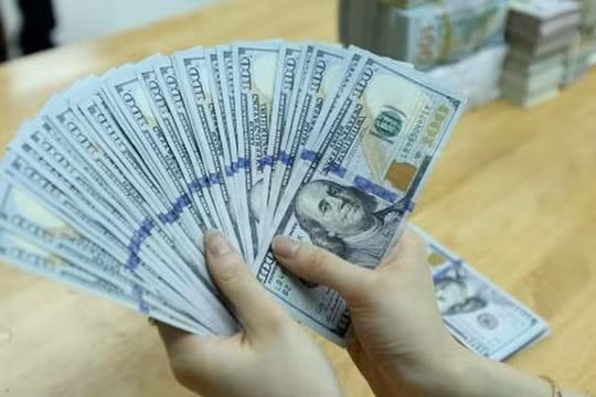 Ảnh minh họa (Nguồn: Internet)