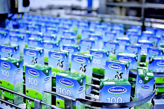 Ảnh minh họa (Nguồn: Internet)