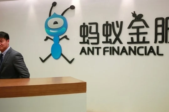 Ảnh minh họa (Nguồn: Internet)