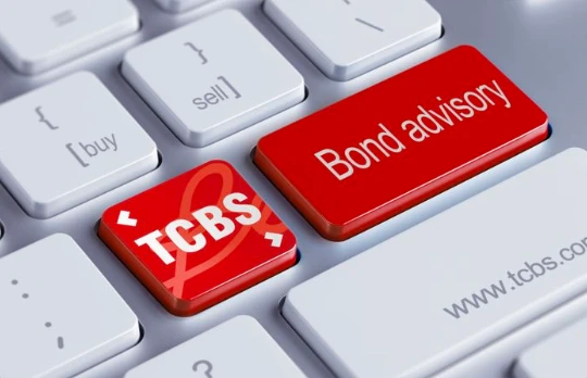 Ảnh minh họa (Nguồn: TCBS)