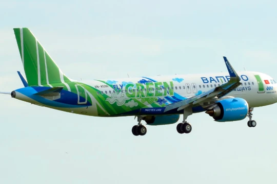 Ảnh minh họa - Nguồn: FLC