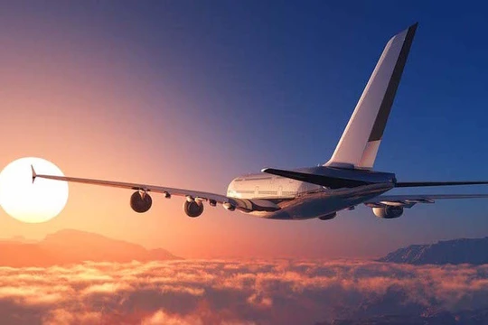 Ảnh minh họa (Nguồn: Internet)