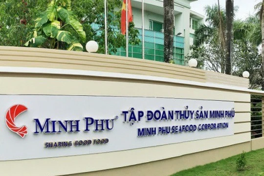 Ảnh minh họa (Nguồn: Internet)