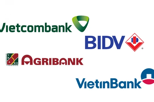 Ảnh minh họa (Nguồn: Internet)