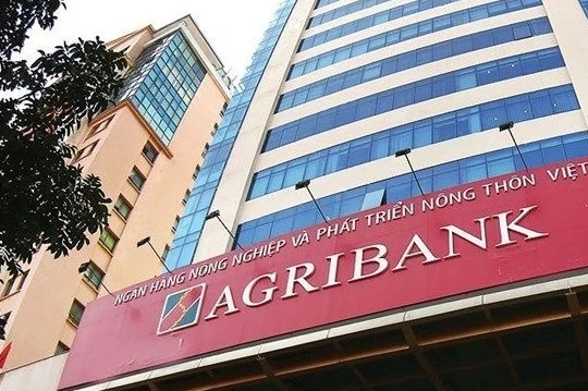 Ảnh minh họa (Nguồn: Internet)