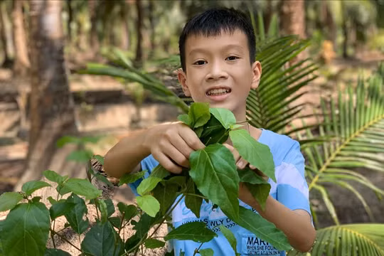 Đào Khương Duy là tấm gương vượt khó học tốt của Trường THCS Huỳnh Tấn Phát, huyện Bình Đại, Bến Tre