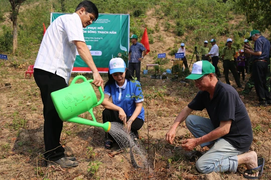 Năm 2021 và 2022, VARS trồng được 313,9 hecta tại 3 tỉnh Sơn La, Quảng Trị và Quảng Bình