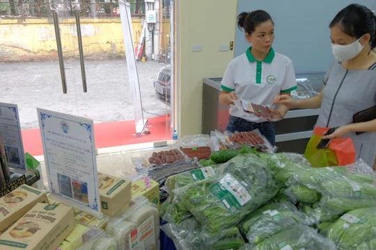 TikTok sẽ đẩy mạnh đào tạo, tập huấn nâng cao kỹ năng số về sản xuất nội dung, quảng bá và tiếp thị sản phẩm OCOP.