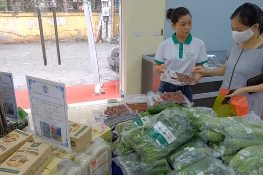 TikTok sẽ đẩy mạnh đào tạo, tập huấn nâng cao kỹ năng số về sản xuất nội dung, quảng bá và tiếp thị sản phẩm OCOP.