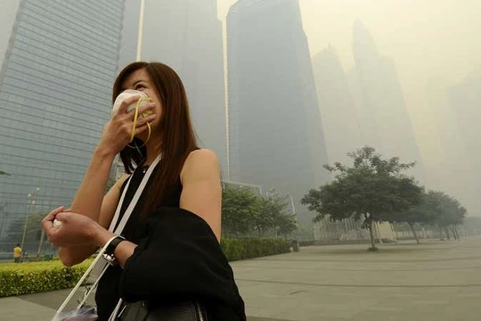 Ảnh minh họa: New Scientist