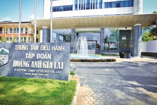 CTCP Gia súc Lơ Pang đặt trụ sở trùng với địa chỉ trung tâm điều hành của Tập đoàn Hoàng Anh Gia Lai