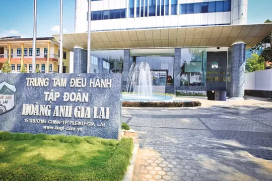 CTCP Gia súc Lơ Pang đặt trụ sở trùng với địa chỉ trung tâm điều hành của Tập đoàn Hoàng Anh Gia Lai