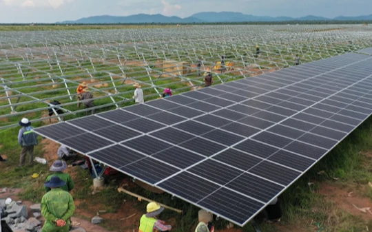 Các công ty điện mặt trời của Tập đoàn Xuân Thiện kinh doanh ra sao trong năm đầu tiên vận hành?