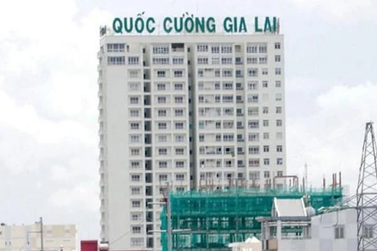 Quốc Cường Gia Lai (QCG) bị cổ đông kiến nghị thanh tra thuế