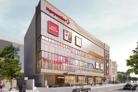 Louis Capital muốn thâu tóm chuỗi trung tâm thương mại của Nguyễn Kim 