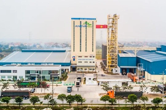 Hé mở tiềm lực của Nova Consumer 