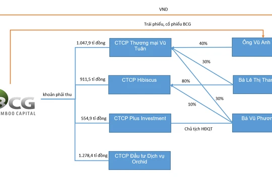 BCG và khoản phải thu 3.900 tỉ đồng với nhóm Vũ Tuân
