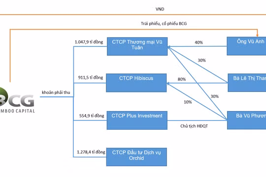 BCG và khoản phải thu 3.900 tỉ đồng với nhóm Vũ Tuân